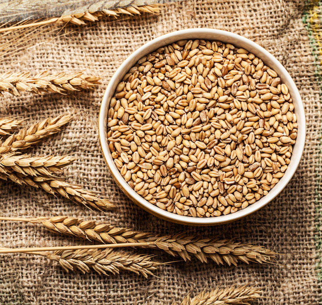 Khapli Wheat Flour, stone-ground Emmer wheat flour by Reddot Food, freshly milled in Ireland for nutritious and flavorful cooking.